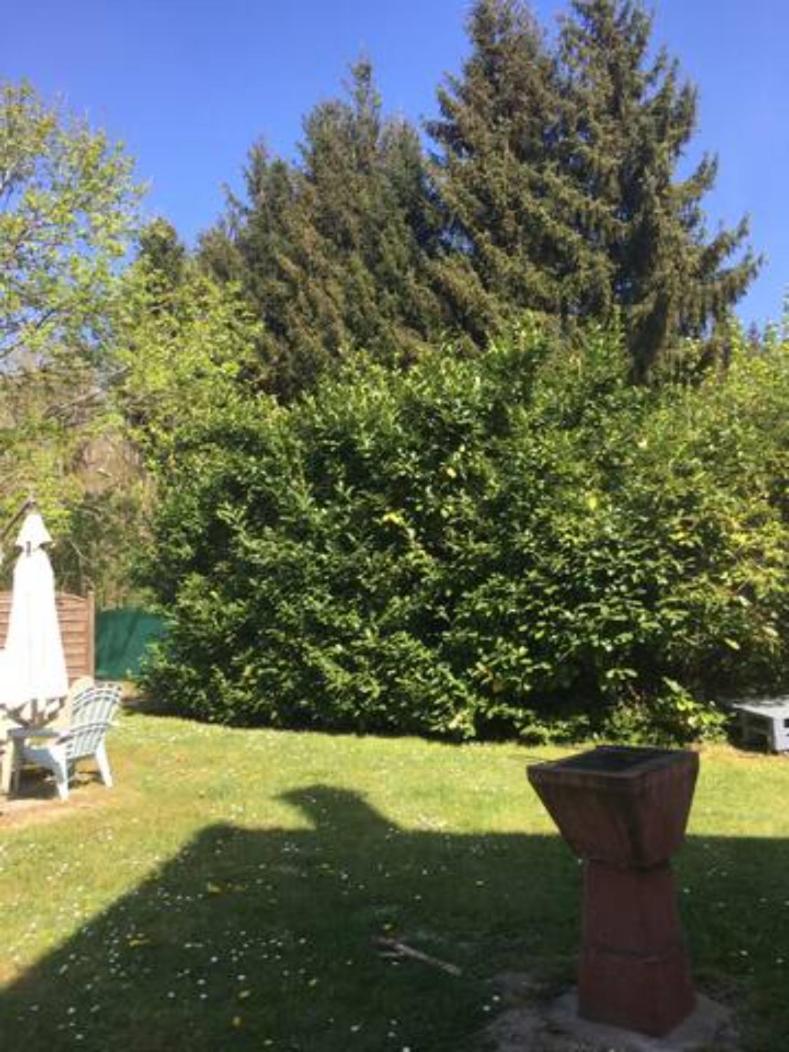 Gite Cosy Proche Fontainebleau Et Foret Noisy-sur-Ecole Exterior foto