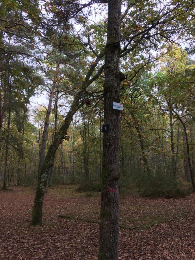 Gite Cosy Proche Fontainebleau Et Foret Noisy-sur-Ecole Exterior foto